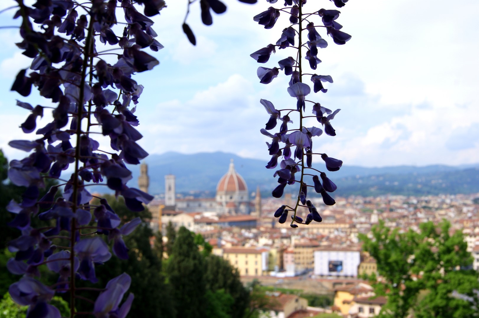 florencja-podr%C3%B3%C5%BCe-3.jpg