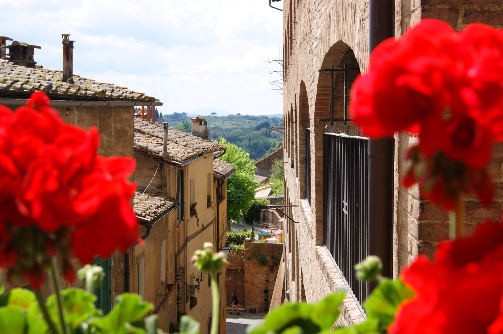 siena-w%C5%82ochy-podr%C3%B3%C5%BC-1.jpg